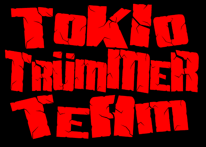 Tokio Truemmer Team